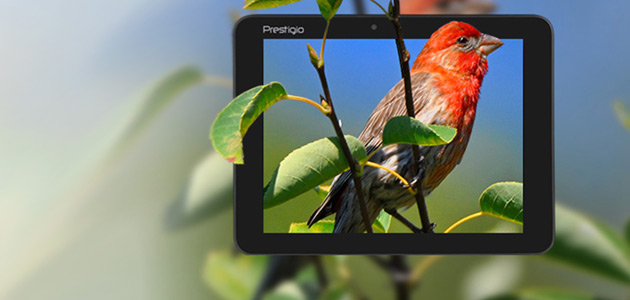 Prestigio has released the new MultiPad Ranger 7.0 3G and MultiPad Ranger 8.0 3G