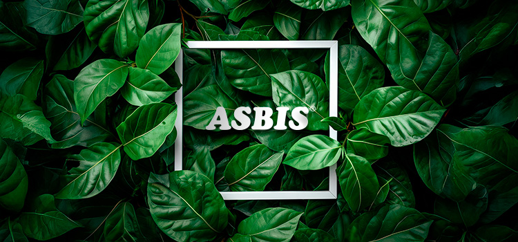 ASBIS’s environmental, social, and governance (ESG) initiatives have consistently garnered recognition from SEG over the past four years, achieving notable results